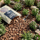 バークチップ 【Lサイズ / 50リットル】 園芸 ガーデニング マルチング材 松　50L（送料無料）