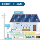 Deye 住宅用蓄電システム 住宅用ハイブリッド蓄電システム  太陽光対応 オフグリッド対応 家庭用 停電対策 自家消費型 太陽光 蓄電池 システム
