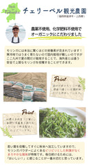 国産モリンガパウダー【モニター特価！】チェリーベル観光農園 100%国産モリンガパウダー 50g 福岡県産 福津市