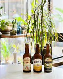 送料無料 クラフトビール お中元 夏ギフト GOLDEN BREWERY 6本セット 4本セット ゴールデン IPA