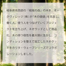 Kalita (カリタ) コーヒードリッパー スタンドセット 2〜4人用 WDG-185