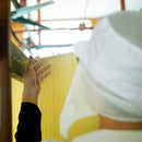 船波製麺所 手延べ半生そうめん 抹茶入り 250g×5袋