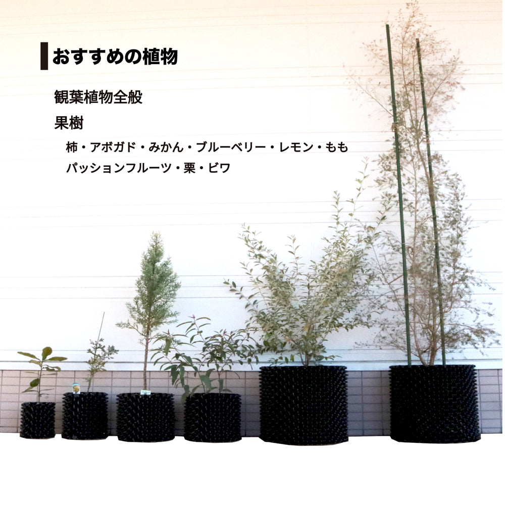 ルートプラスポット 3L 高さ190mm x 内寸径155mm