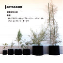 ルートプラスポット　３L　高さ190mm x 内寸径155mm