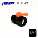 Netafim Ball Valve 3/4" x 3/4" [744800-10900]