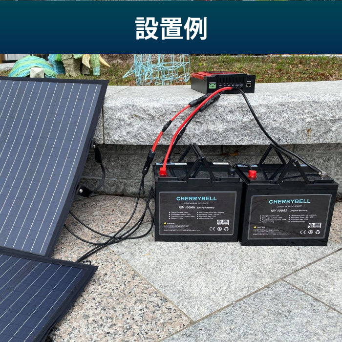 【オフグリッド応援価格】リン酸鉄リチウムイオンバッテリー 12.8V 100Ah 1280Wh LiFePo4 家庭用蓄電池