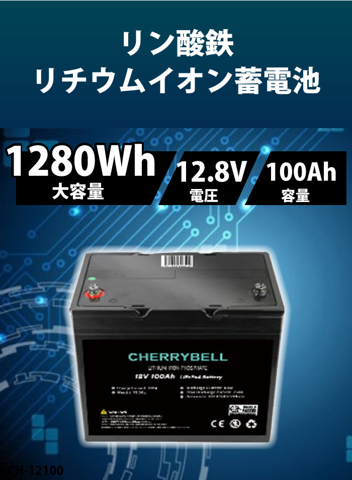 【オフグリッド応援価格】リン酸鉄リチウムイオンバッテリー 12.8V 100Ah 1280Wh LiFePo4 家庭用蓄電池