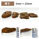 バークチップ 【Lサイズ / 50リットル】 園芸 ガーデニング マルチング材 松　50L