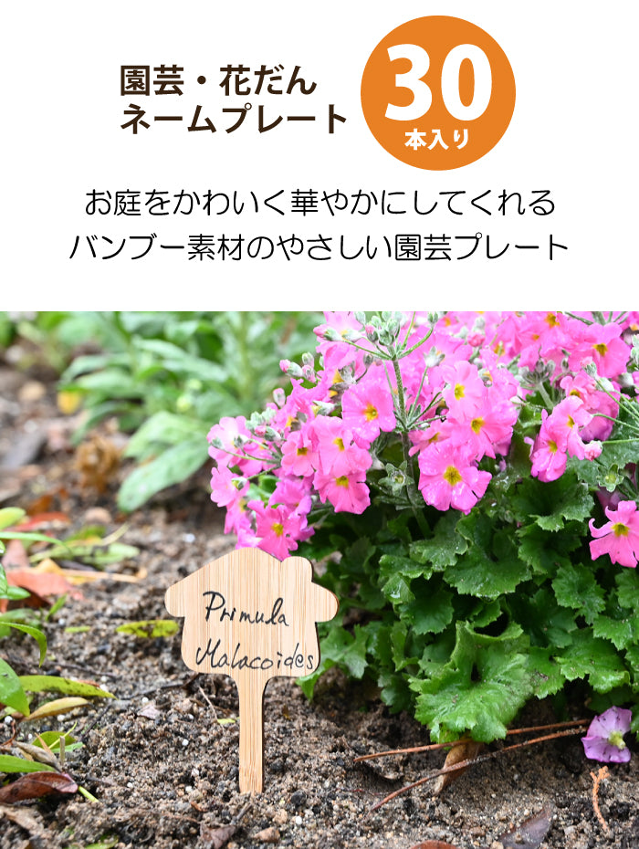 Gardening Label Flower Label Wooden Set of 30 [Bonus Included]