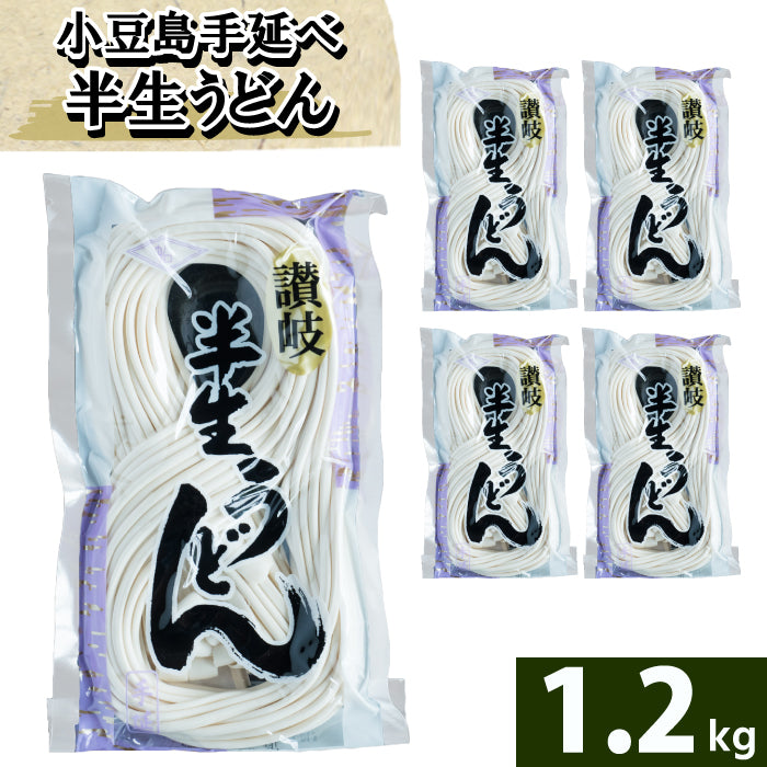 Funami Seimenjo hand-rolled half-raw udon 250g x 5 bags