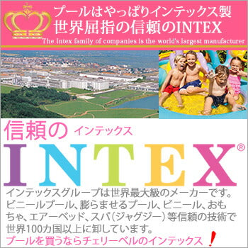 プールラダー 大型プール用はしご 高さ91cm 信頼のINTEX（インテックス製) 大型 INTEX インテックス