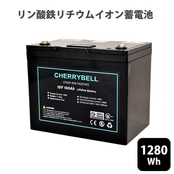 【オフグリッド応援価格】リン酸鉄リチウムイオンバッテリー 12.8V 100Ah 1280Wh LiFePo4 家庭用蓄電池