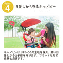 smart trike zoom zoom tricycle